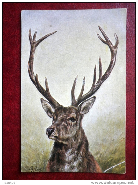 illustration by Ch Haug - Deer - No 692 - old postcard - unused - JH Postcards