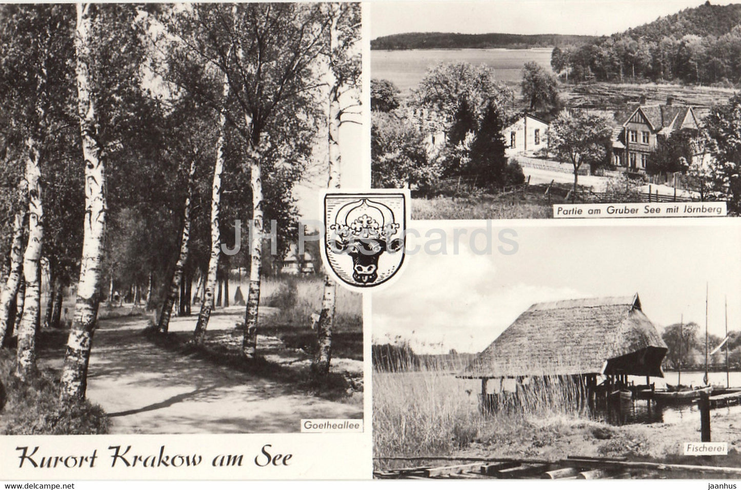 Kurort Krakow am See - Goetheallee - Partie am Gruber See mit Jornberg - Fischerei - Germany DDR - unused - JH Postcards