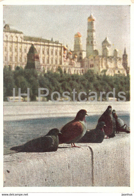 Moscow - Doves at the Moscow river embankment - 1958 - Russia USSR - unused - JH Postcards
