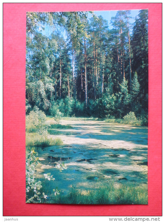 The Pond - Pushkin State Museum-Reserve Mikhailovskoye - 1969 - Russia USSR - unused - JH Postcards