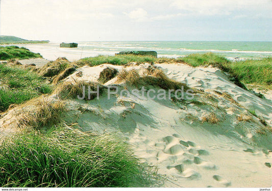 Vesterhavet - North Sea - 88341 - Denmark - unused - JH Postcards
