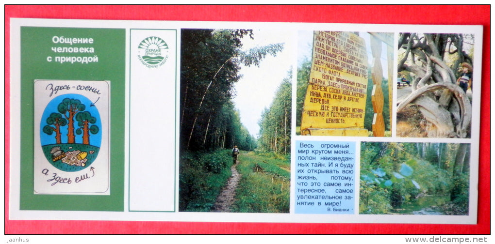forest road - tree - Nature Conservation - 1984 - USSR Russia - unused - JH Postcards
