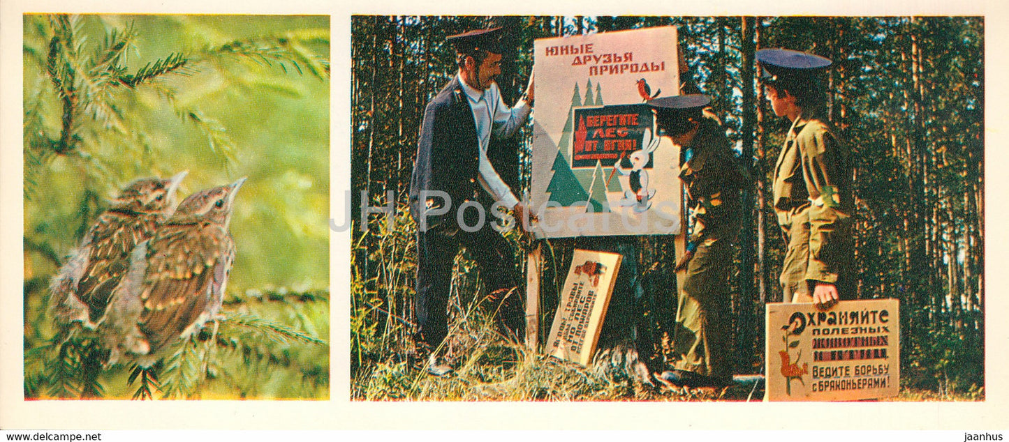 School forestry - birds - Forest Wealth - 1981 - Russia USSR - unused - JH Postcards