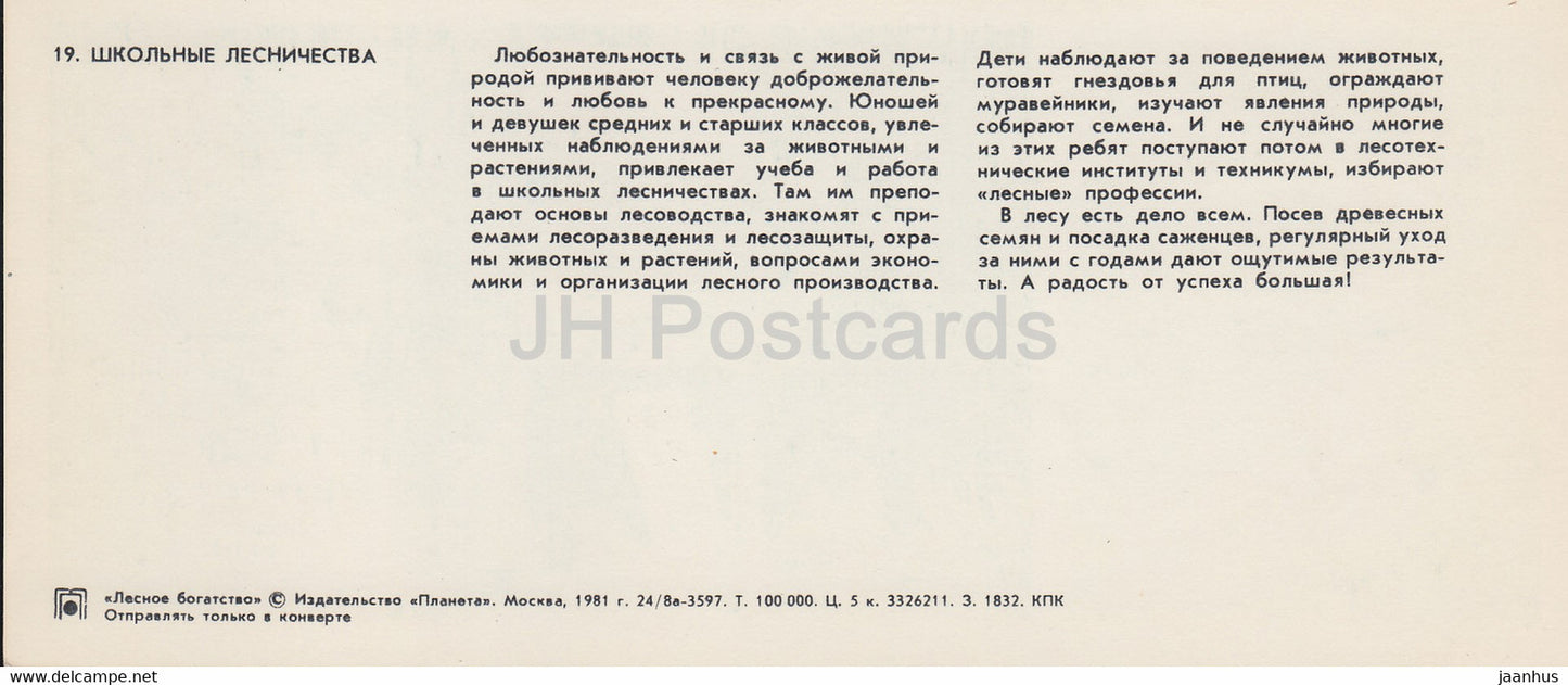 Schulforstwirtschaft – Vögel – Waldreichtum – 1981 – Russland UdSSR – unbenutzt