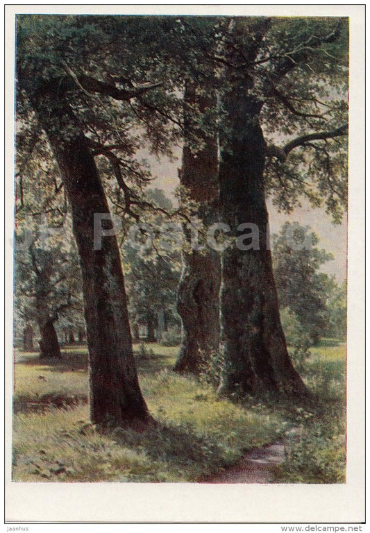 painting by I. Shishkin - Oak Trees , 1887 - Russian art - 1958 - Russia USSR - unused - JH Postcards