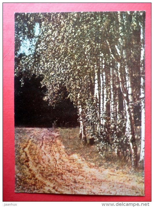 Birch trees - Lithuania USSR - unused - JH Postcards