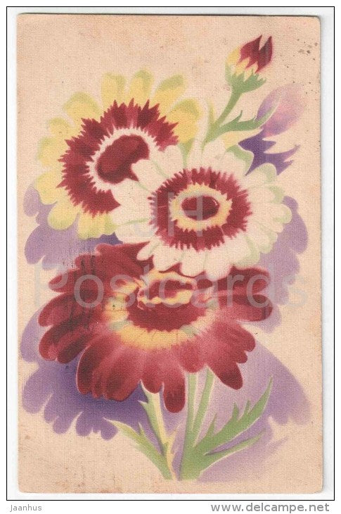 Greeting Card - flowers - illustration - Ed. Eilman - old postcard - circulated in Estonia 1936 - JH Postcards