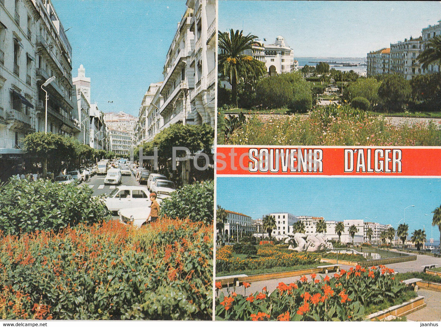 Souvenir d'Alger - street view - multiview - Algeria - used - JH Postcards