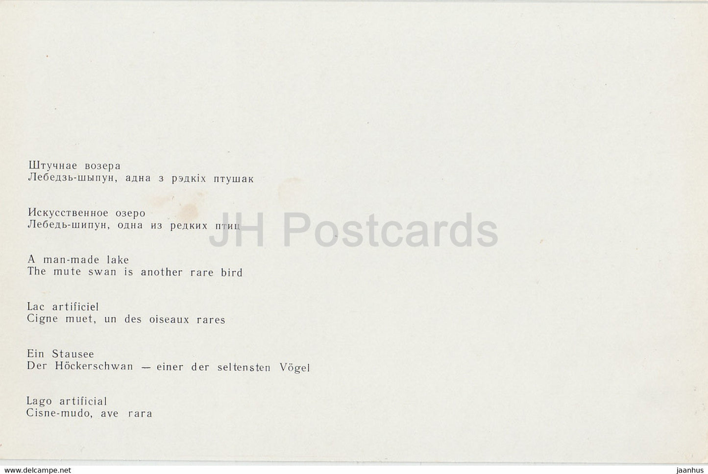 Belovezhskaya Pushcha National Park - A Man Made Lake - The Mute Swan - birds - 1981 - Berarus USSR - unused