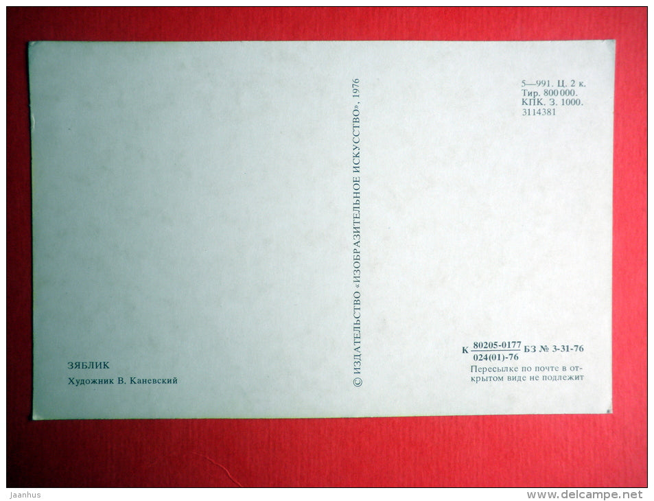 illustration by V. Kanevsky - Finch - birds - 1976 - Russia USSR - unused - JH Postcards