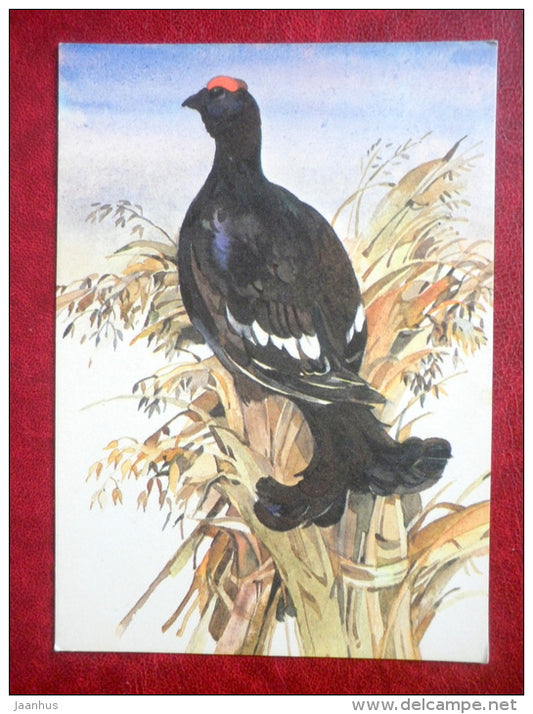 illustration by T. Tulev - grouse - birds - 1986 - Estonia USSR - used - JH Postcards