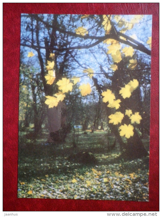 autumn in the park  - Kadriorg - Tallinn - 1976 - Estonia USSR - unused - JH Postcards