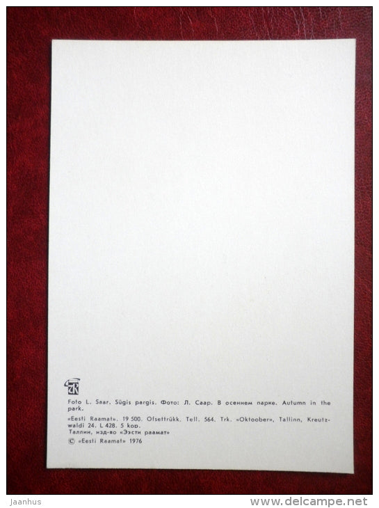 autumn in the park  - Kadriorg - Tallinn - 1976 - Estonia USSR - unused - JH Postcards