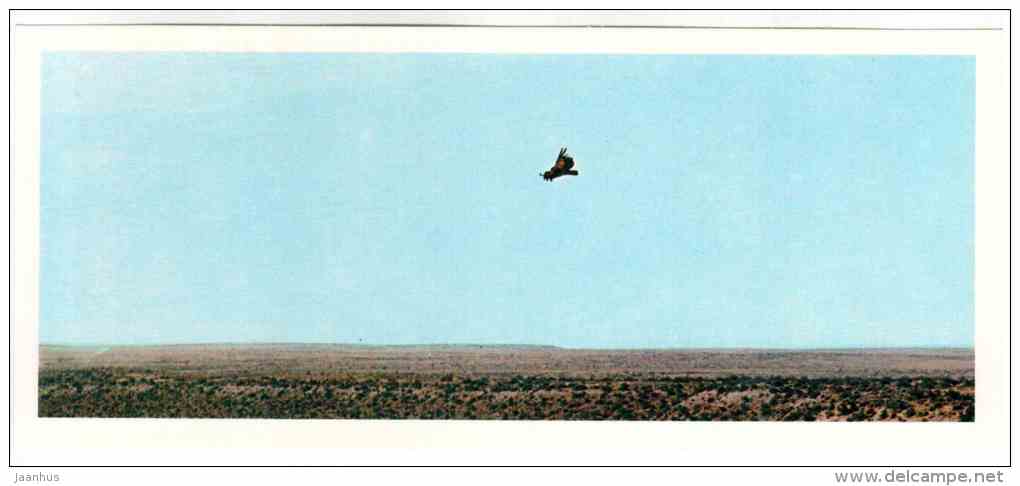 Steppe - bird - Badhyz State Nature Reserve - 1981 - Turkmenistan USSR - unused - JH Postcards