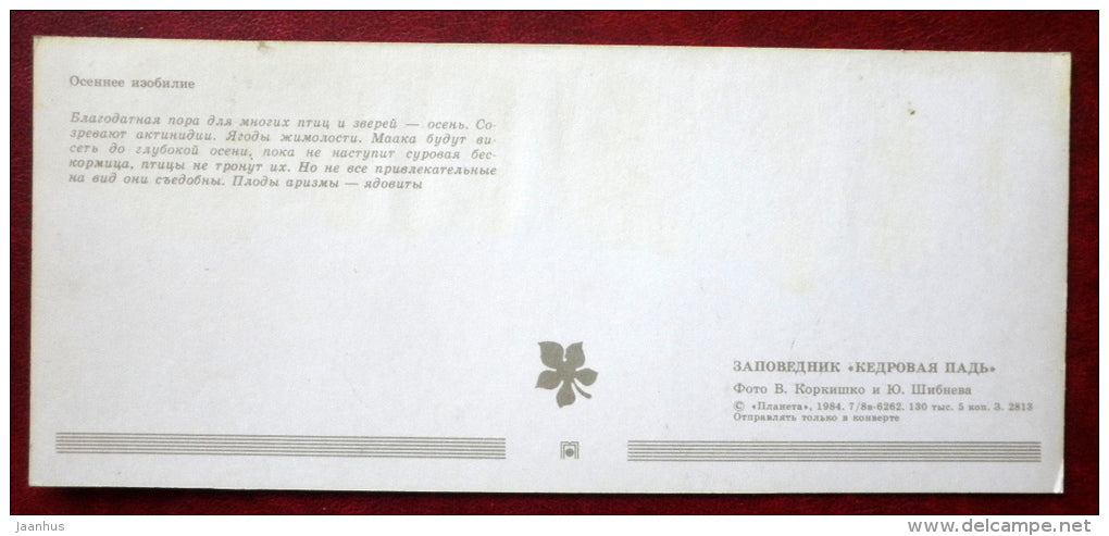 Kedrovaya Pad Nature Reserve - plants , Actinidia , honeysuckle - 1984 - Russia USSR - unused - JH Postcards