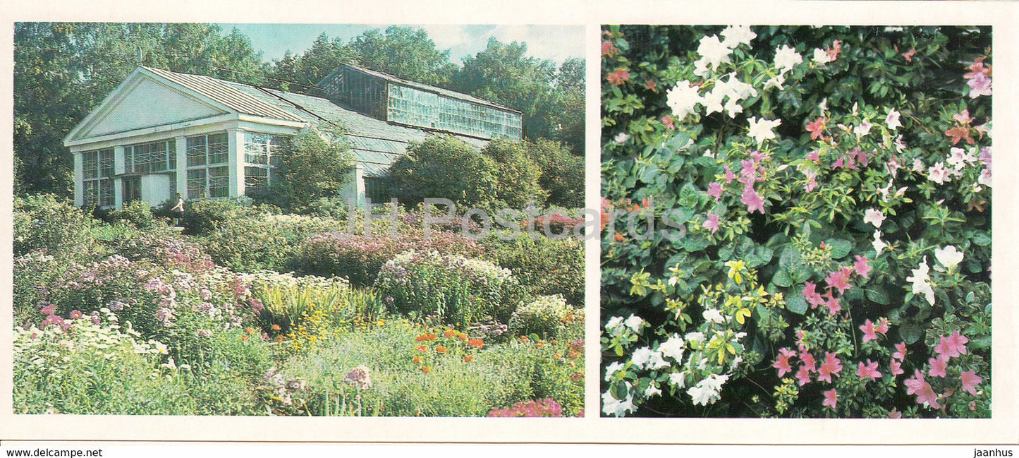 Rhododendron indicum - Azalea - flowers - Siberian Botanical Garden - 1985 - Russia USSR - unused - JH Postcards