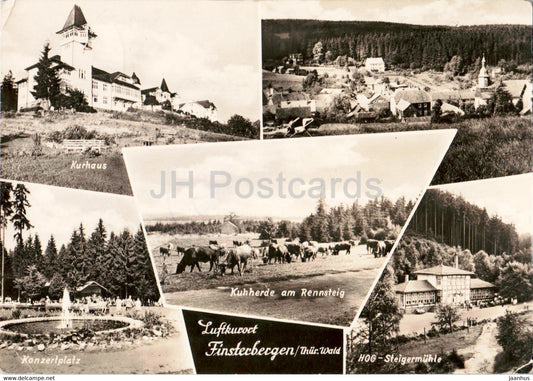 Luftkurort Finsterbergen - Thur Wald - Kurhaus - Konzertplatz - HOG Steigermuhle - cow old postcard - Germany DDR - used - JH Postcards
