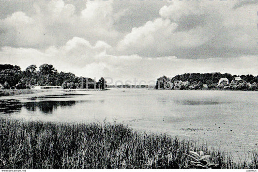 Karpfenstadt Reinfeld i Holst - Herrenteich - old postcard - 1959 - Germany - used - JH Postcards