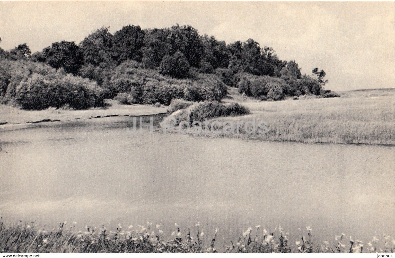 Trigorskoye - View from the Bank of the River Sorot - Pushkin Nature Reserve - 1968 - Russia USSR - unused - JH Postcards