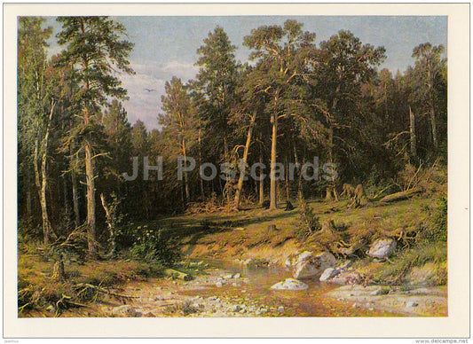 painting by I. Shishkin - Pine Grove . Masted Forest in Vyatka province - Russian art - 1975 - Russia USSR - unused - JH Postcards