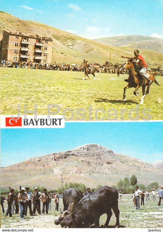 Bayburt - Traditional Race - buffalo - horse - 1987 - Turkey - used - JH Postcards