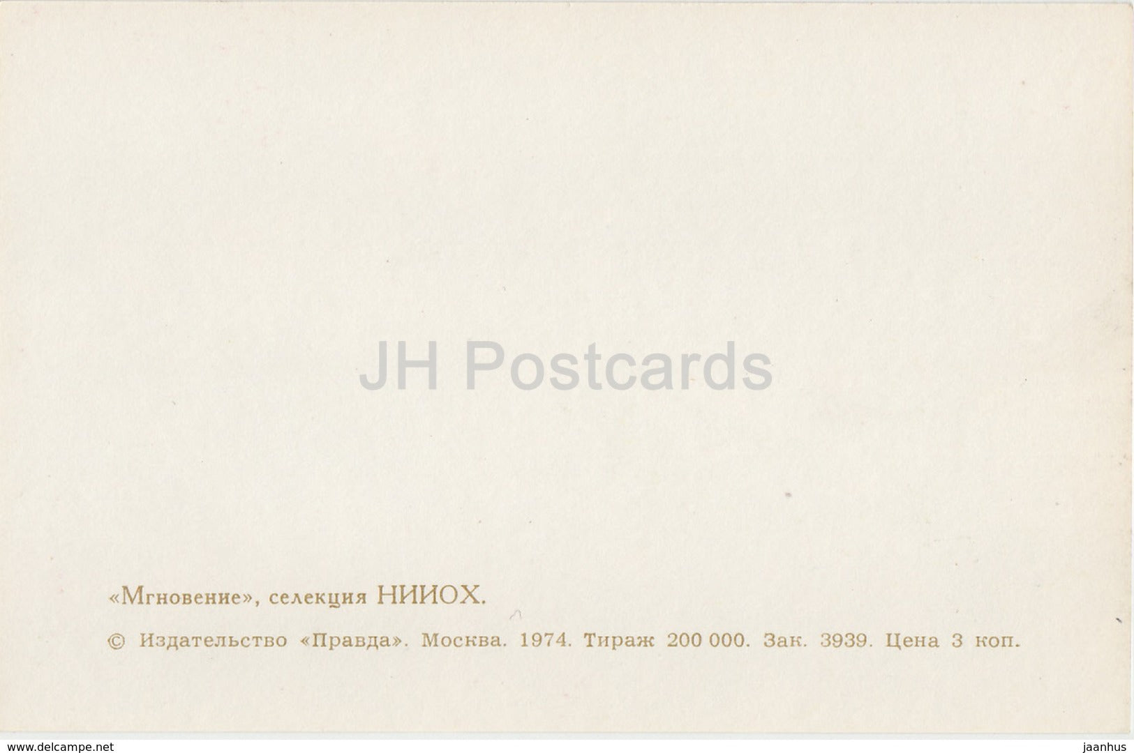 A Moment - Gladiolus - Flowers - 1974 - Russia USSR - unused - JH Postcards