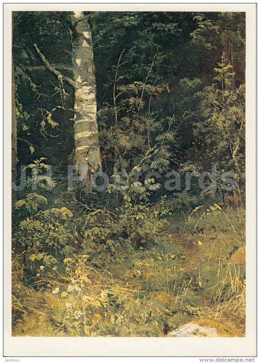 painting by I. Shishkin - Birch and Rowan Trees , 1878 - Russian art - 1984 - Russia USSR - unused - JH Postcards