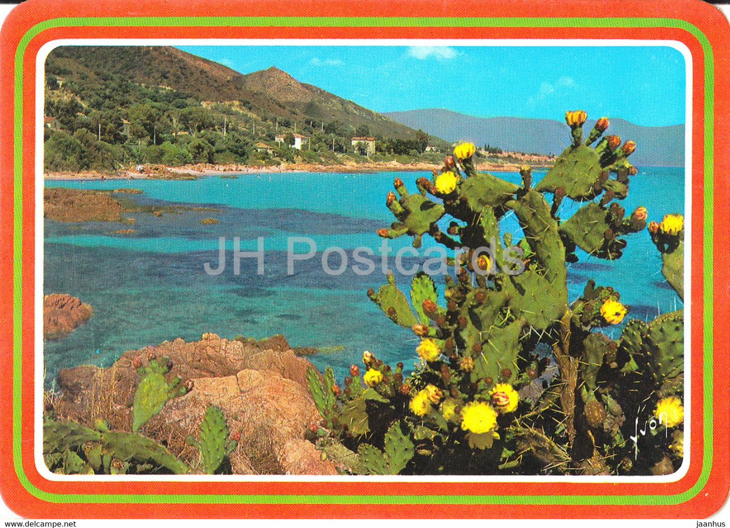 La Corse - Ile de Beaute - Les Fleurs epanouies que protegent les piquants du Figuier de Barbarie - France - unused - JH Postcards