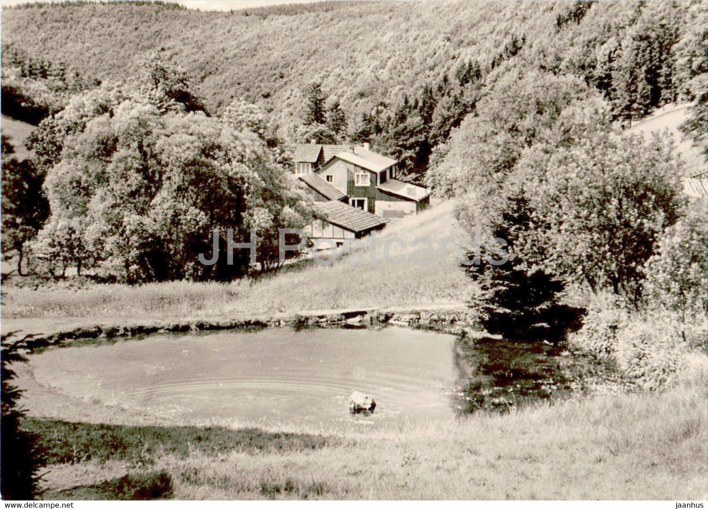 Luftkurort Frauenwald - Fraubachmuhle - old postcard - 1974 - Germany DDR - used - JH Postcards