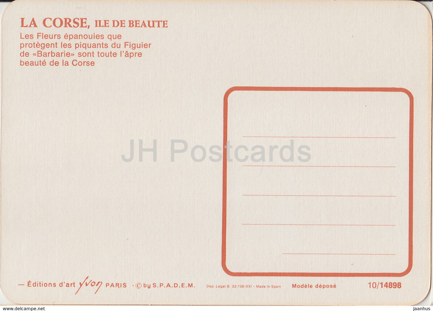 La Corse - Ile de Beaute - Les Fleurs epanouies que protegent les piquants du Figuier de Barbarie - France - unused