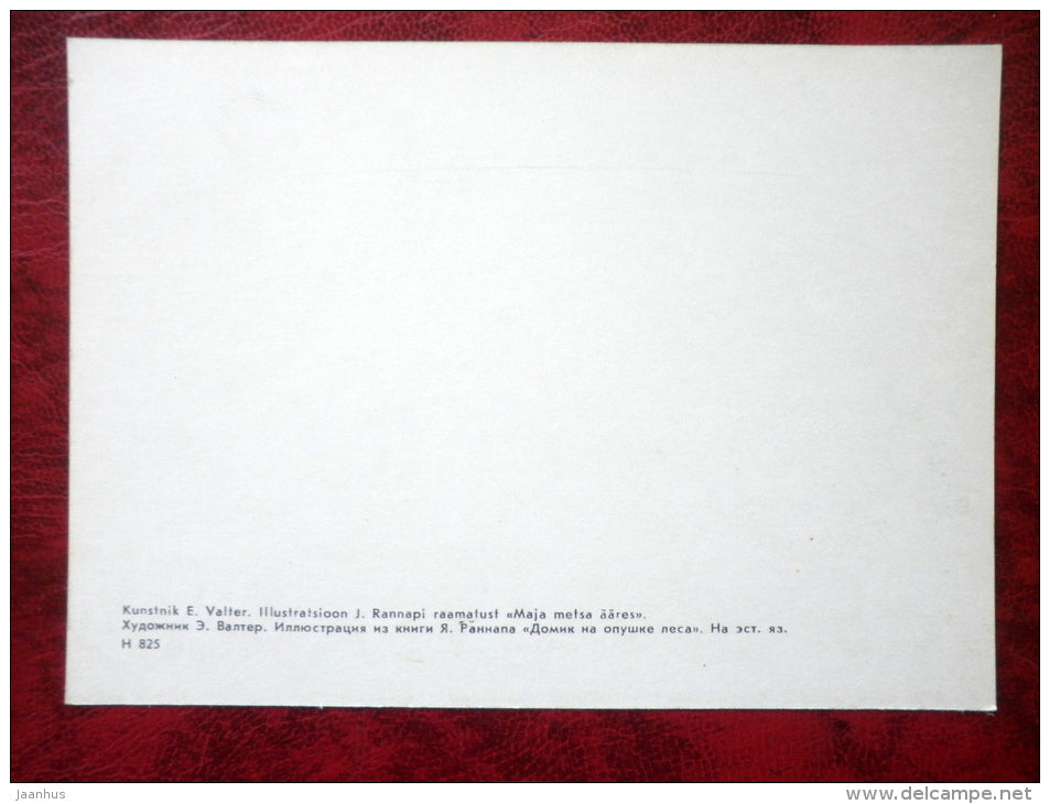 Illustration by Edgar Valter - from book House in the Forest by Jaan Rannap - owl - 1981 - Estonia USSR - unused - JH Postcards