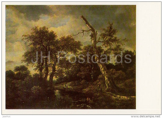 painting by Jacob van Ruisdael - Forest Rivulet - Dutch art - 1983 - Russia USSR - unused - JH Postcards