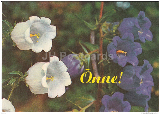 greeting card - white and blue bell flowers - flowers - Estonia - used in 1996 - JH Postcards
