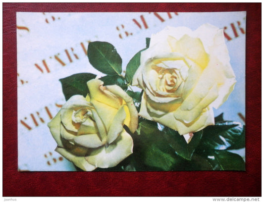 8 March Greeting Card - white roses - flowers - 1977 - Estonia USSR - unused - JH Postcards