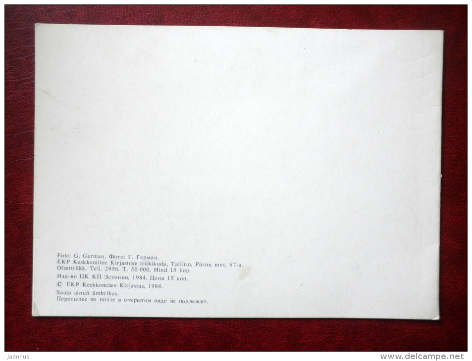 New Year Greeting card - fir tree - cone - snow - 1984 - Estonia USSR - used - JH Postcards