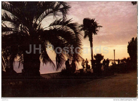 Quay in Gagra - palm trees - Abkhazia - 1972 - Georgia USSR - unused - JH Postcards