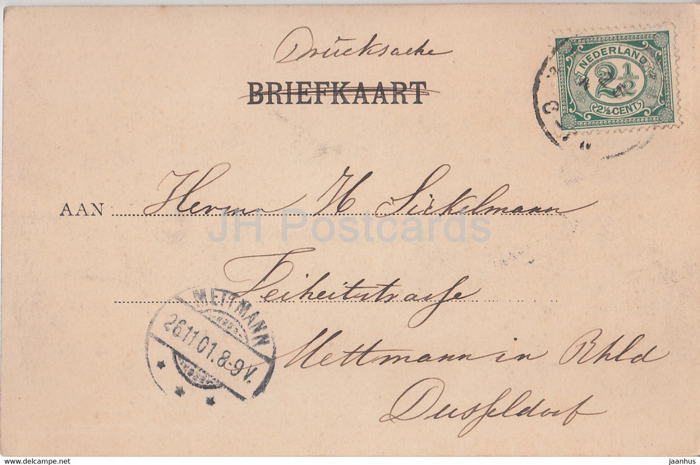 Hijacinthenvelder de Haarlem - champ de fleurs de jacinthes - carte postale ancienne - 1901 - Pays-Bas - utilisé