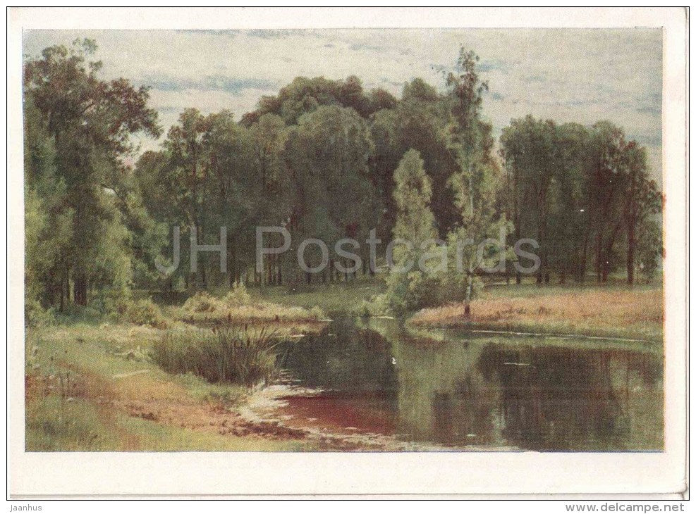 painting by I. Shishkin - Overgrown pond at the edge of the forest - russian art  - unused - JH Postcards