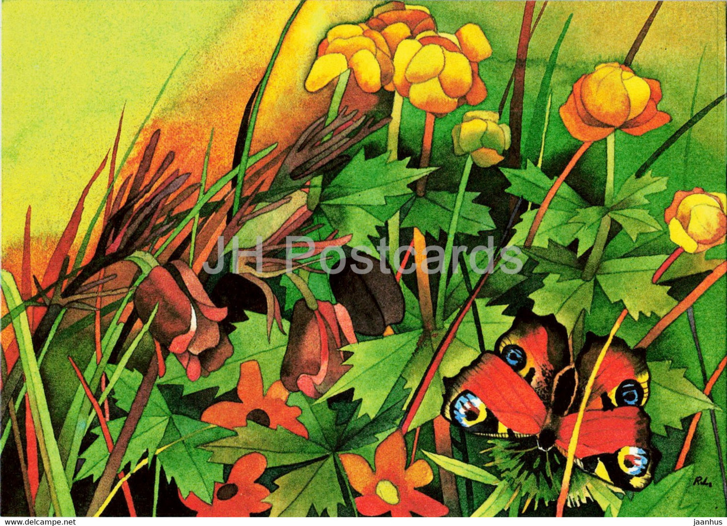 Greeting Card - by R. Lukk - butterfly - globe flower - flowers - 1985 - Estonia USSR - unused - JH Postcards