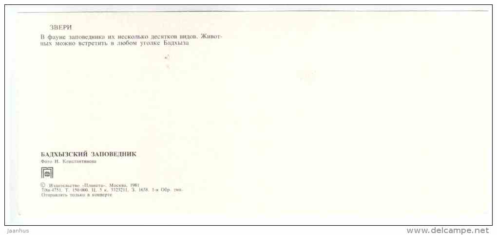 Hedgehog - Badhyz State Nature Reserve - 1981 - Turkmenistan USSR - unused - JH Postcards