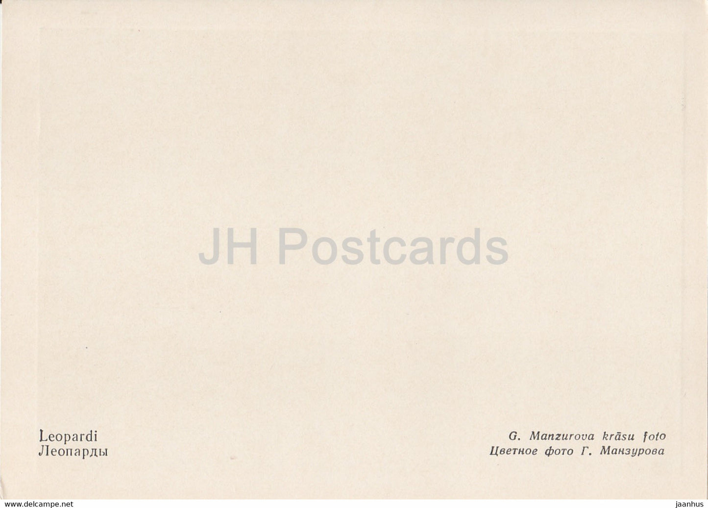 Zoo de Riga - Léopard - Panthera pardus - Lettonie URSS - inutilisé