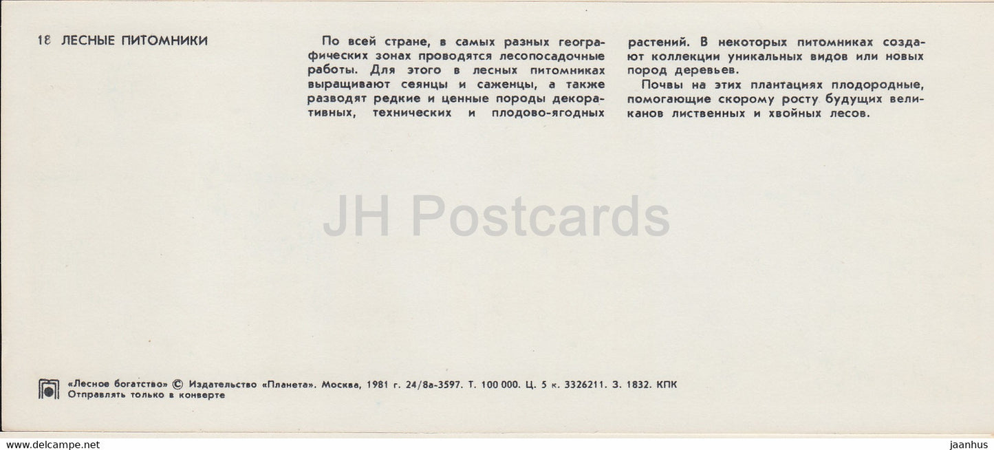 Waldplantage – Waldreichtum – 1981 – Russland UdSSR – unbenutzt