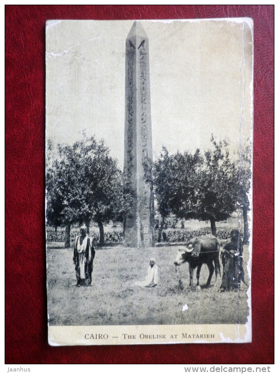 The Obelisk at Matarieh - 11375 - Cairo - old postcard - Egypt - unused - JH Postcards