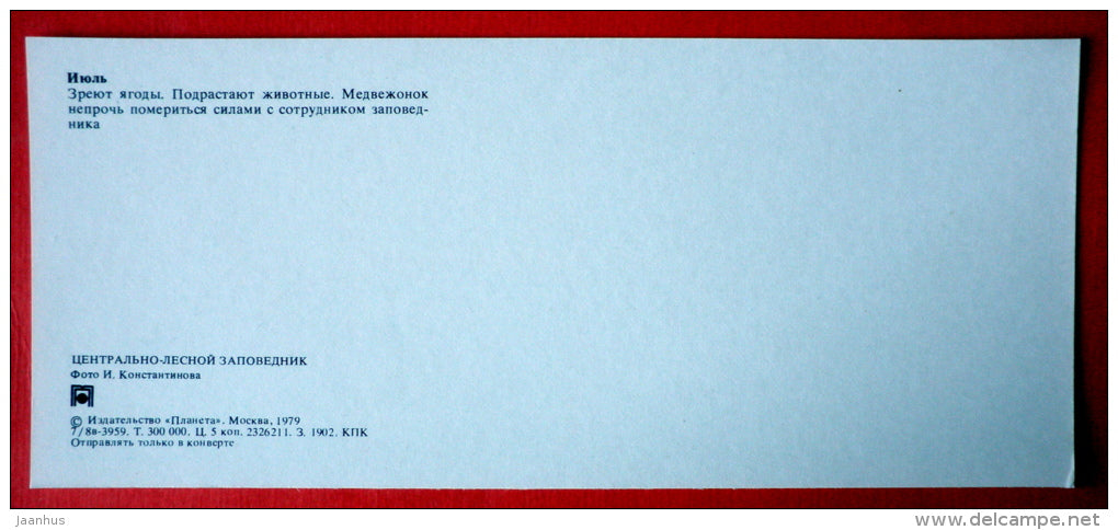 bear - berries - raspberry - strawberry - Tsentralno-Lesnoy Nature Reserve - 1979 - USSR Russia - unused - JH Postcards