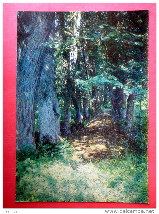 The Lime-tree alley - The Kern Alley - The Pushkin State Museum-Preserve - 1982 - Russia USSR - unused - JH Postcards