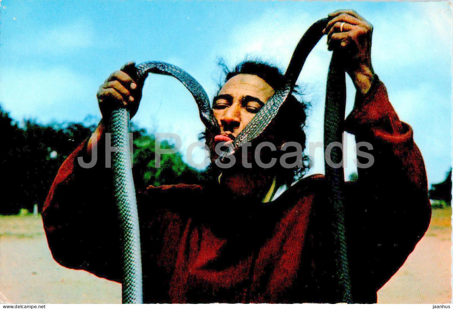 Charmeur de serpents - Snake charmer - cobra - animals - Morocco - unused - JH Postcards
