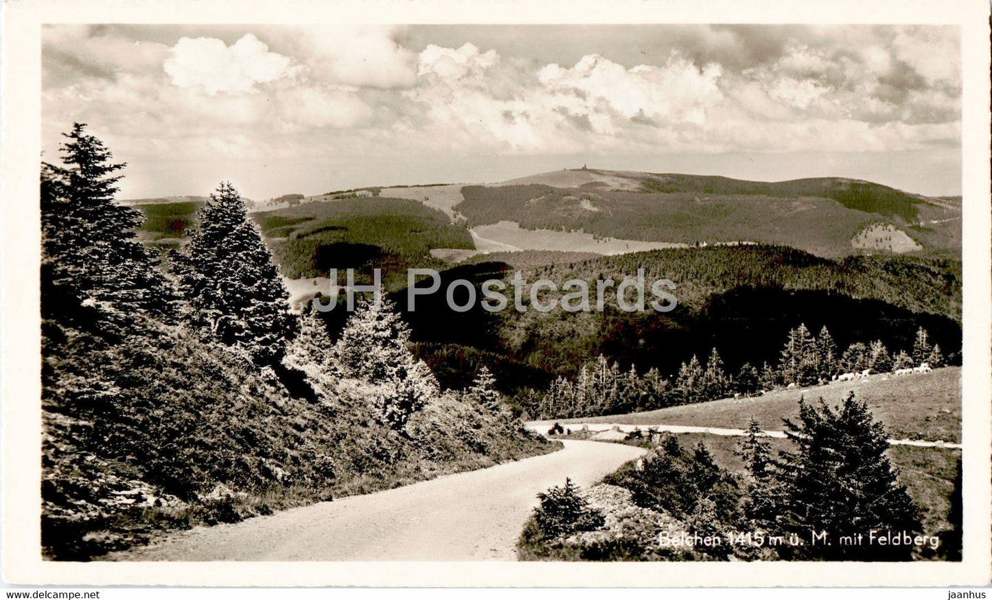 Belchen mit Feldberg - old postcard - Germany - unused - JH Postcards