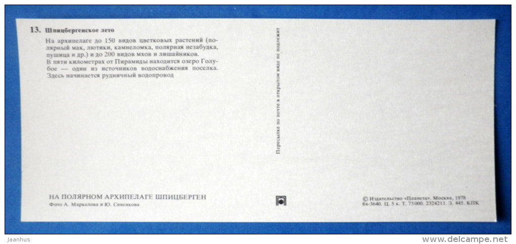 summer in Spitsbergen - flower - plants - On the polar Spitsbergen - 1978 - Norway - unused - JH Postcards