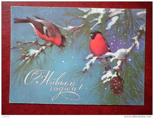 New Year greeting card - by A. Isakov - bullfinches - birds - 1985 - Russia USSR - used - JH Postcards