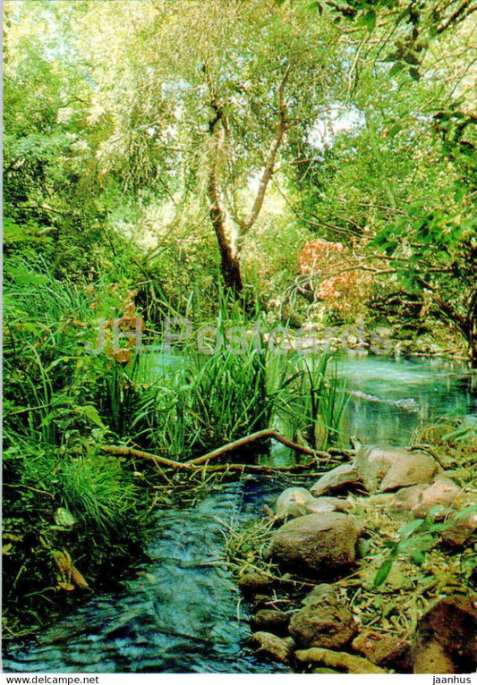 Tel Dan - The place of the ancient city of Dan - source of River Jordan - 7329 - Israel - unused - JH Postcards